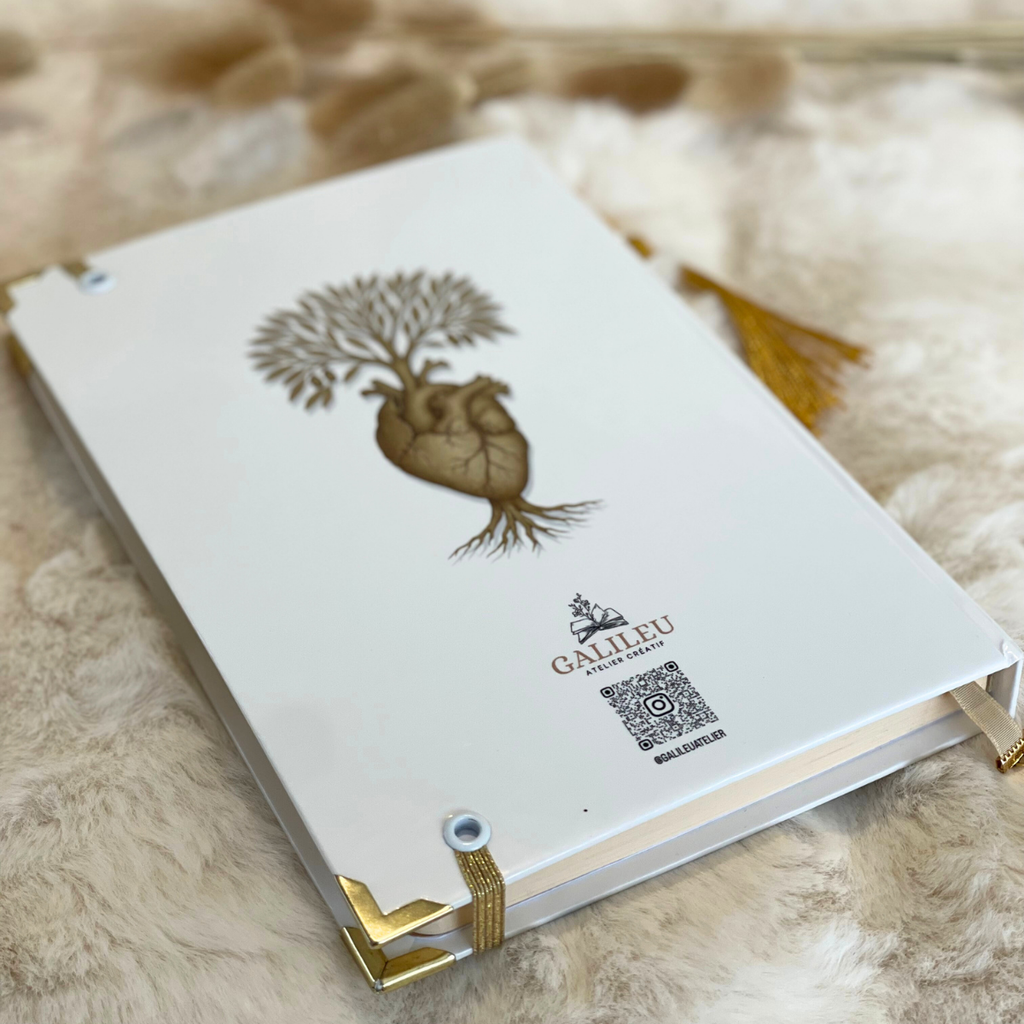 Bible Personnalisée- Ma force