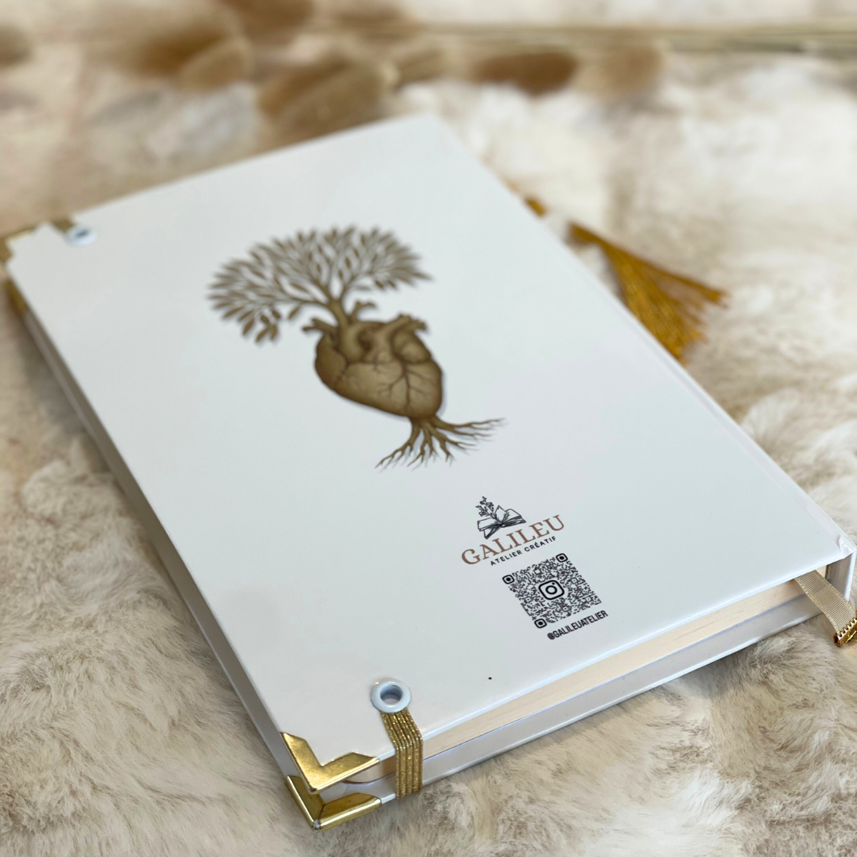 Bible Personnalisée- Ma force