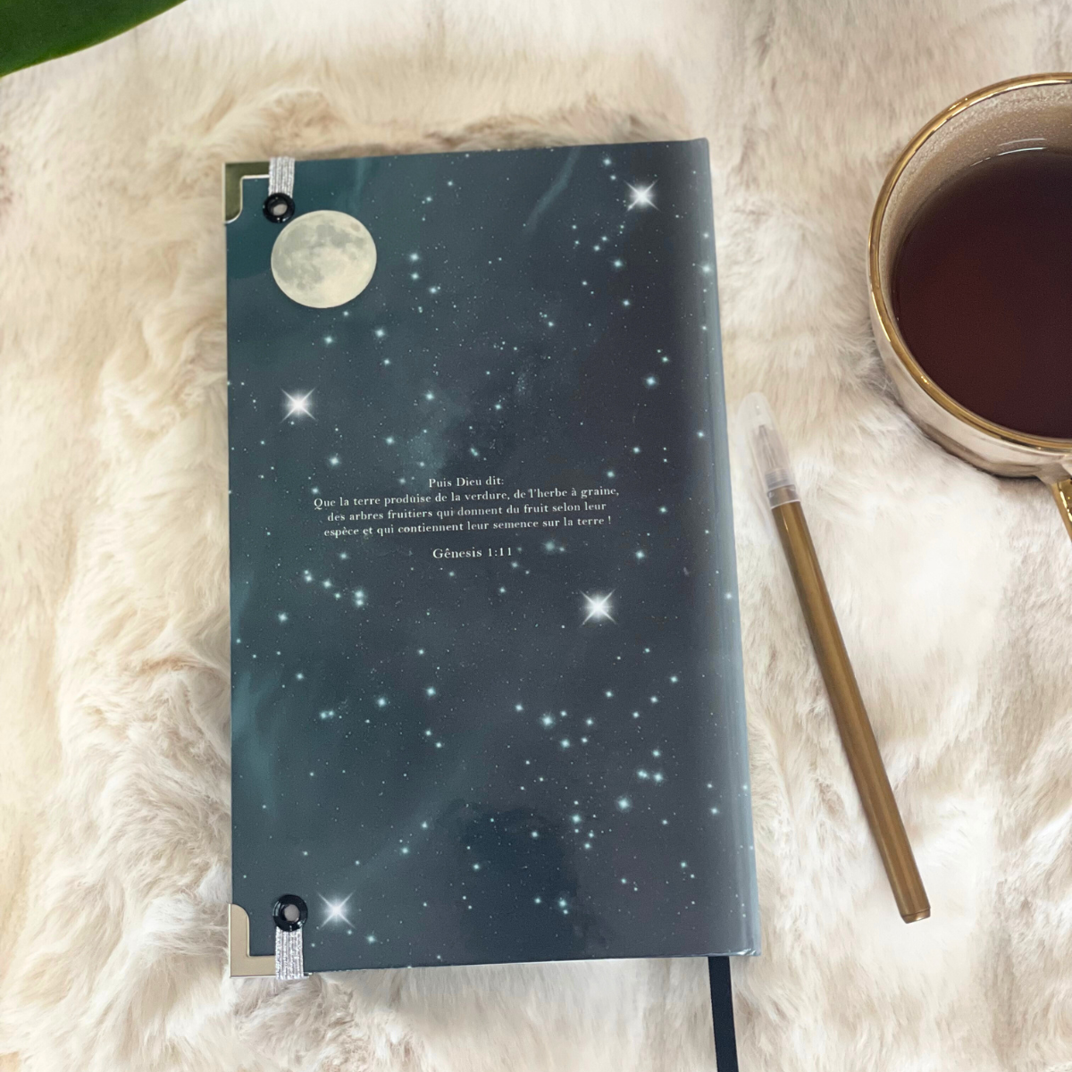 Bible Personnalisée- L'arbre fruitier
