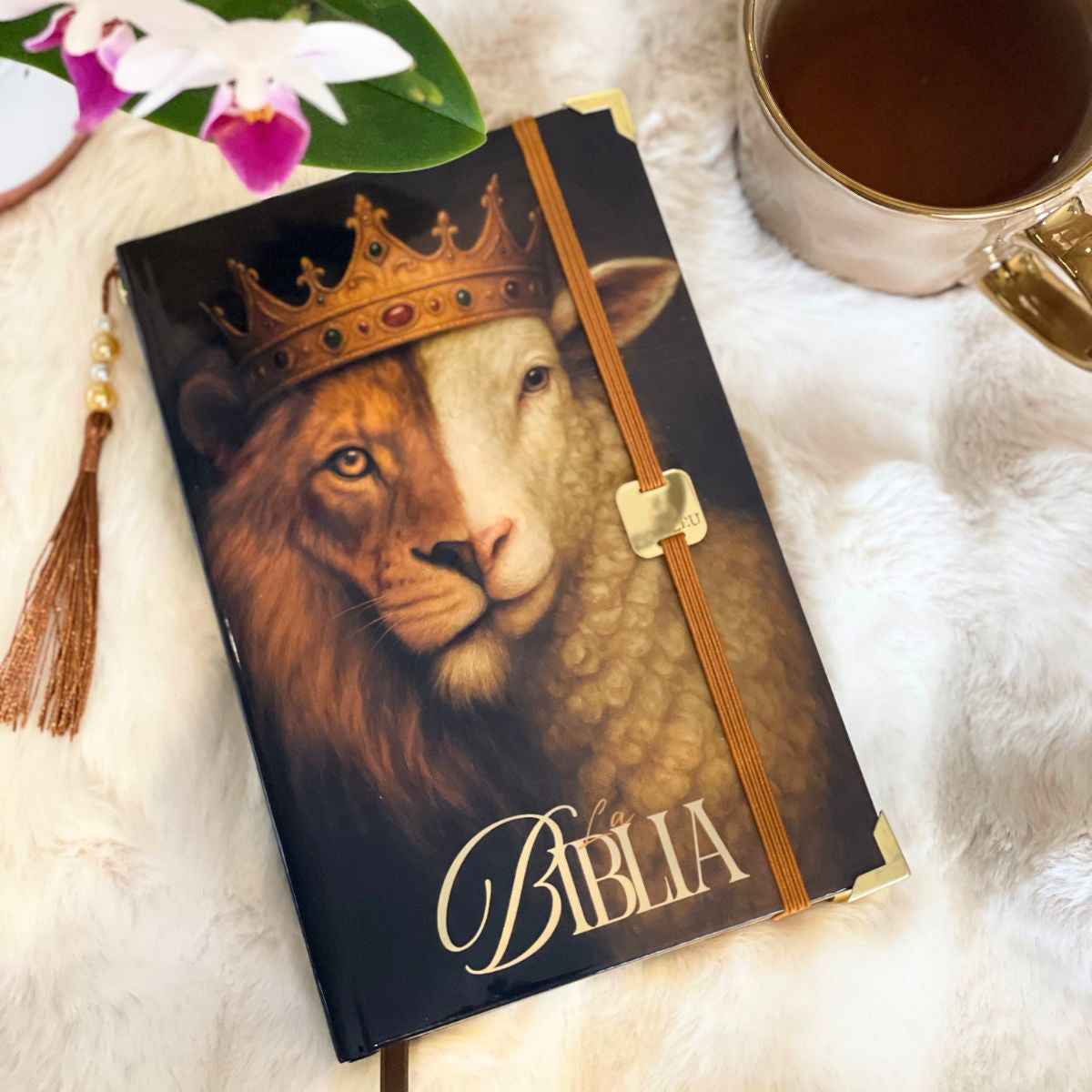 Bible Personnalisée- le Lion et l'Agneau