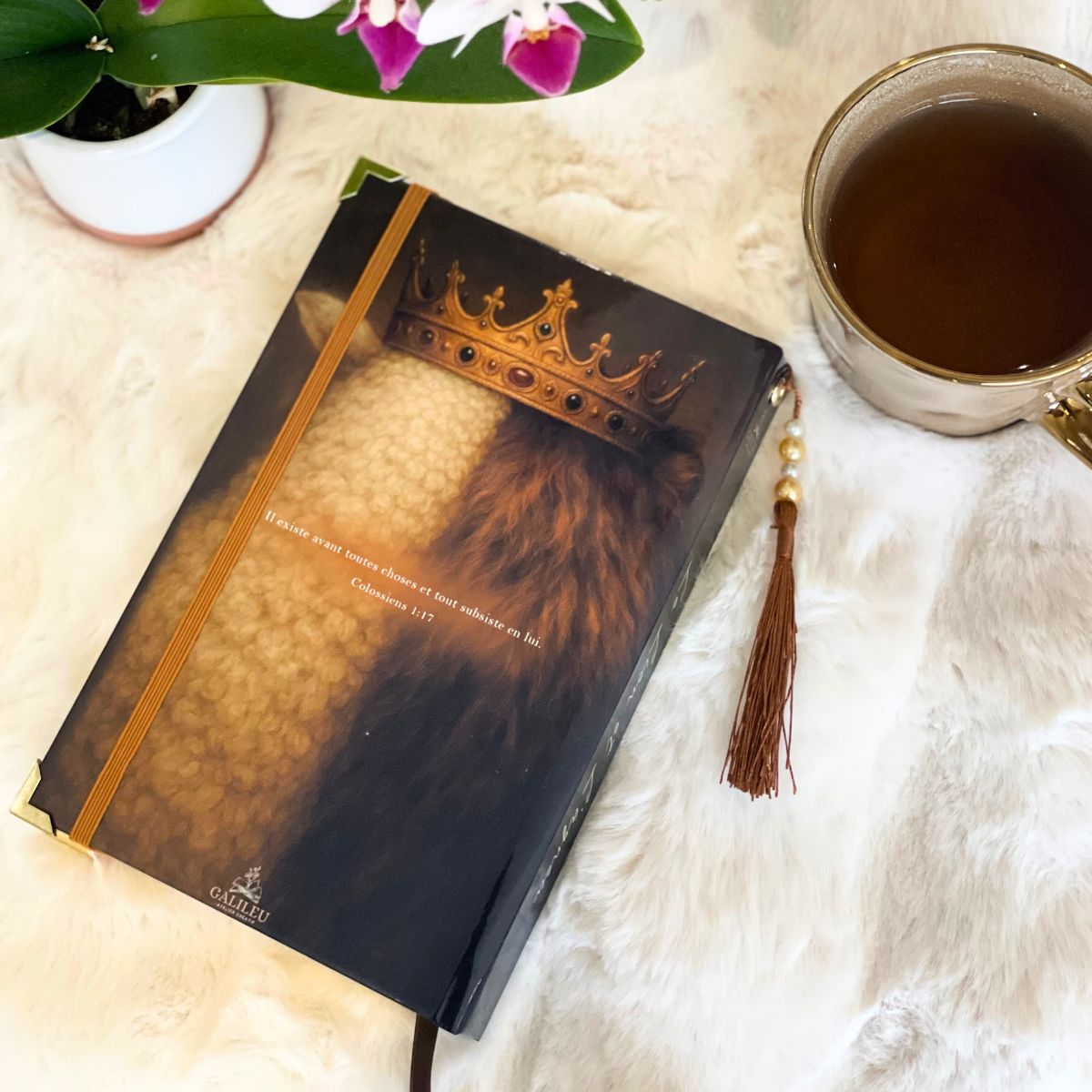 Bible Personnalisée- le Lion et l'Agneau