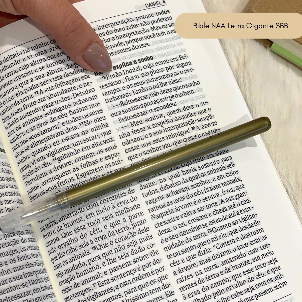 Bible Personnalisée- Au Commencement