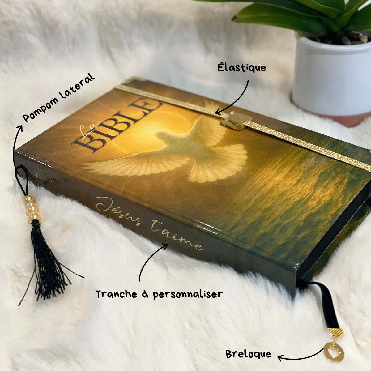 Bible Personnalisée- Arche de Noé - Enfant