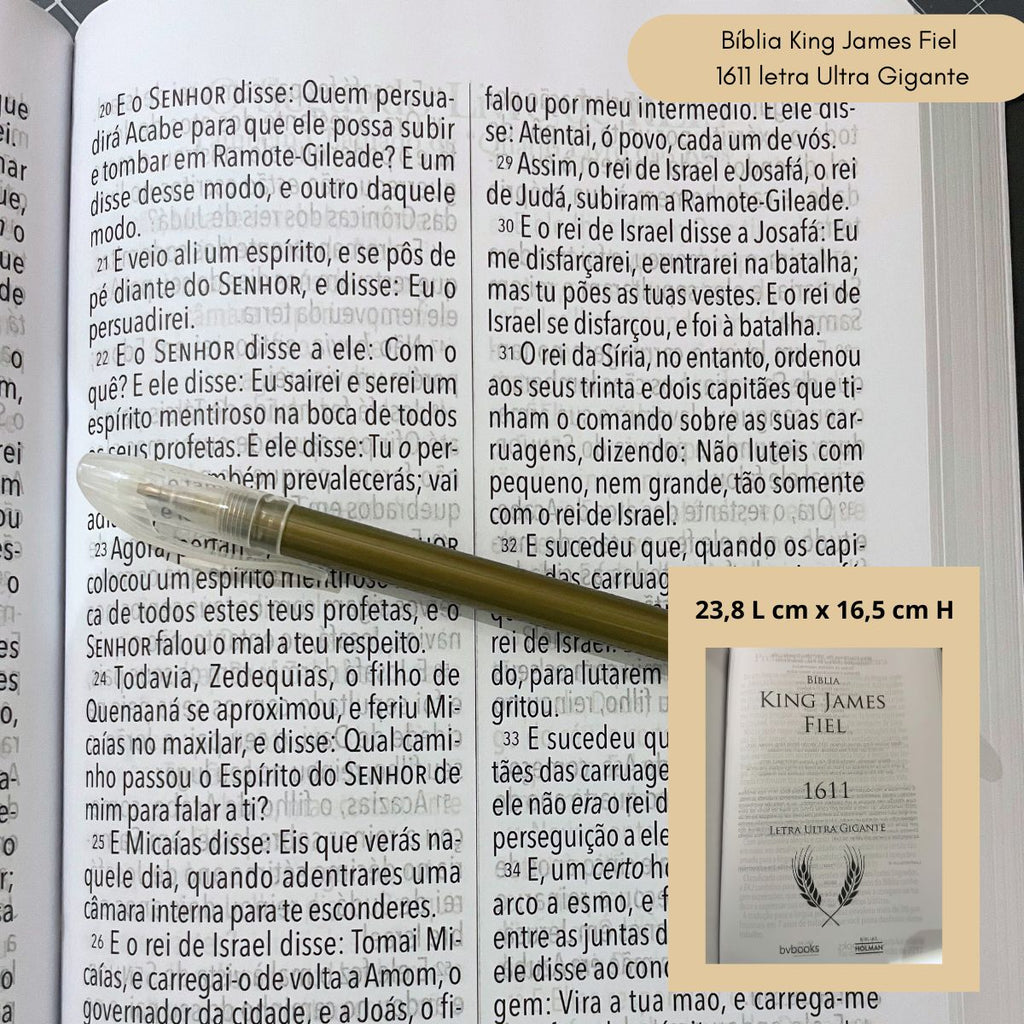 Bible Personnalisée- le Lion et l'Agneau