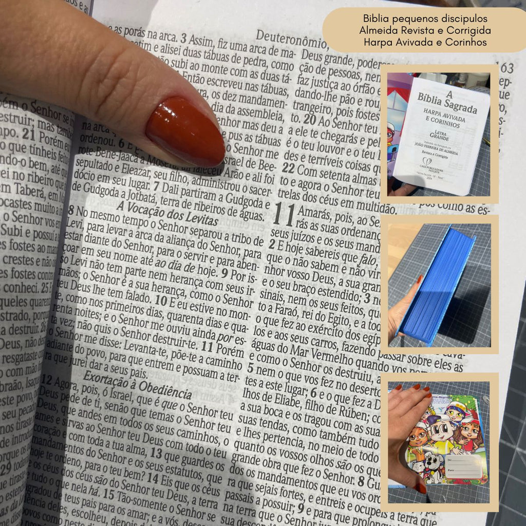 Bible Personnalisée- Arche de Noé - Enfant