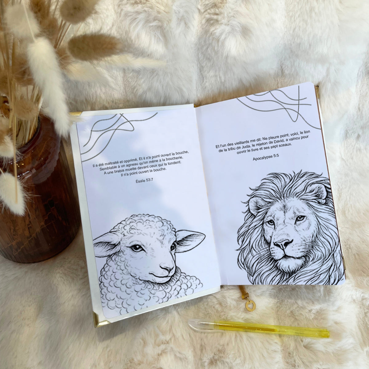 Bible Personnalisée- le Lion et l'Agneau